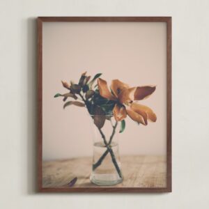 Magnolia